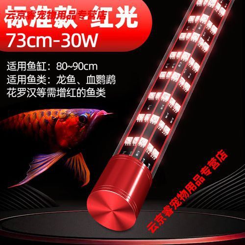 金龍魚用什么牌子的燈最好用