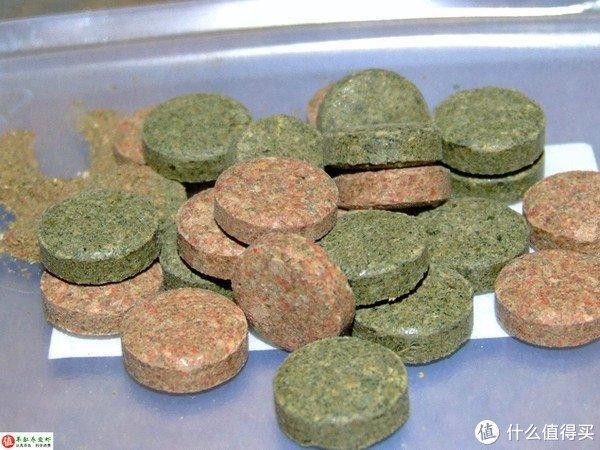 紅龍魚飼料配方表格圖