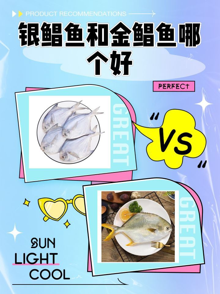 金鯧魚還是銀鯧魚好