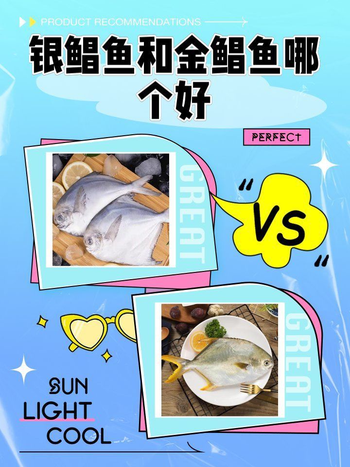 金鯧魚還是銀鯧魚好
