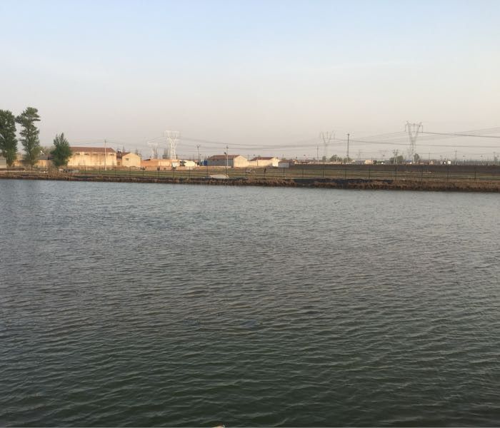 張家口龍魚缸養殖基地