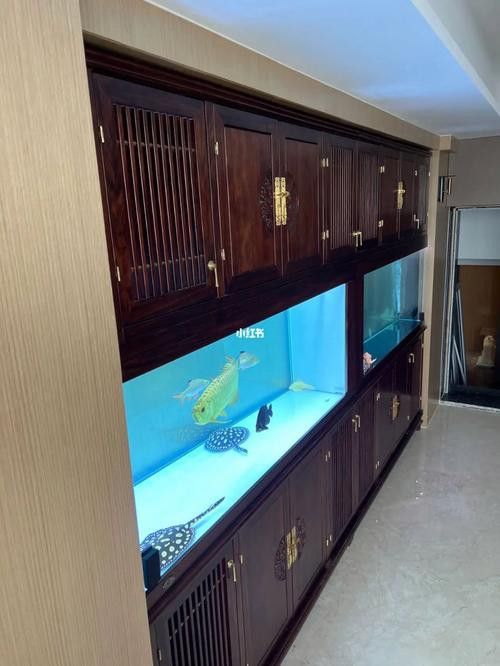 張家口龍魚缸養殖基地