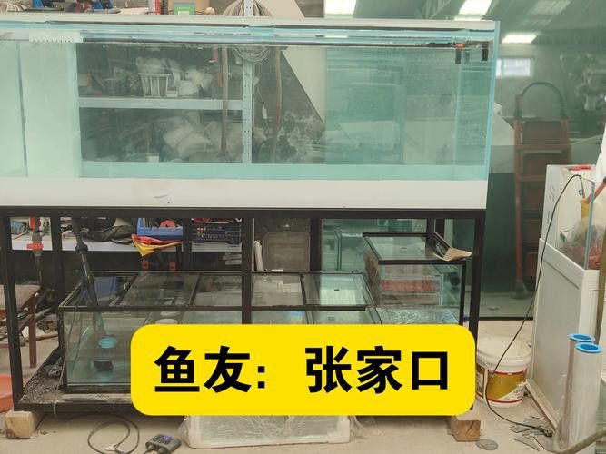 張家口龍魚缸養殖基地