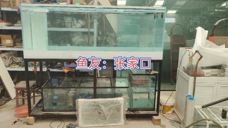 張家口龍魚缸養殖基地