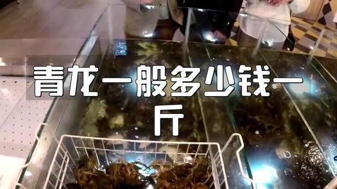 青龍魚價(jià)格多少錢一條圖片及價(jià)格