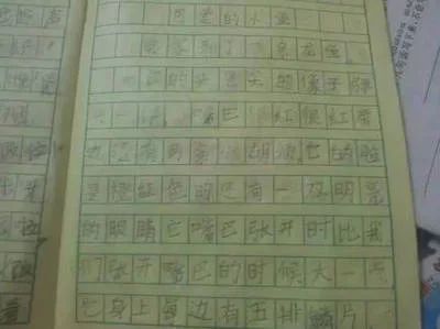 描寫龍魚的作文450字：水中的精靈——龍魚