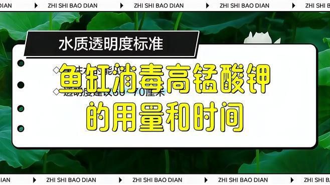 魚缸消毒劑使用注意事項
