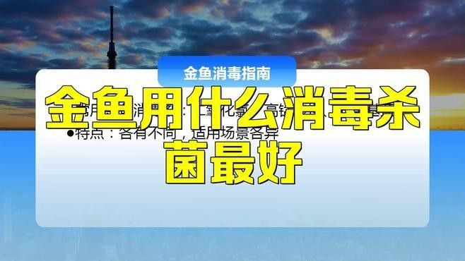 魚缸消毒劑使用注意事項