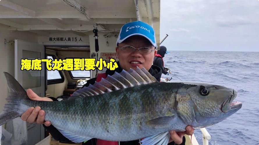 海底飛龍魚圖片大全高清