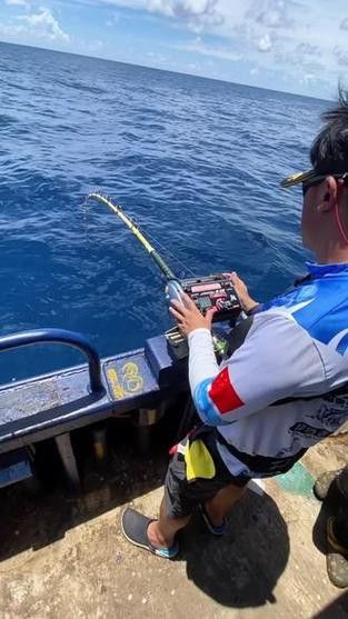 海底飛龍魚圖片大全高清