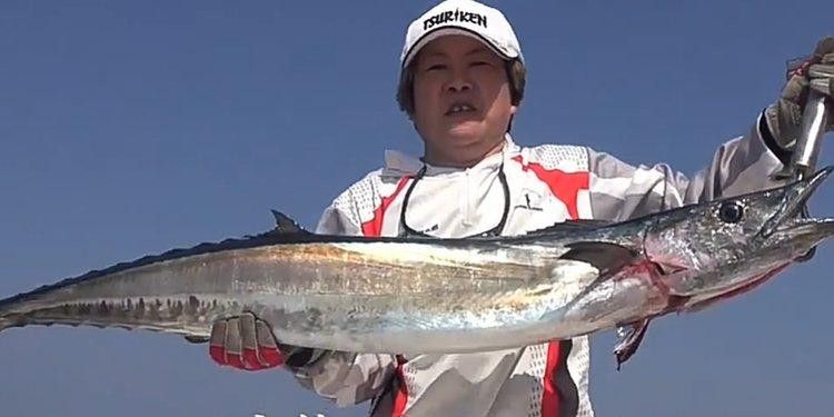 海底飛龍魚圖片大全高清