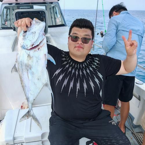 海底飛龍魚圖片大全高清