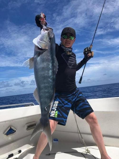 海底飛龍魚圖片大全高清