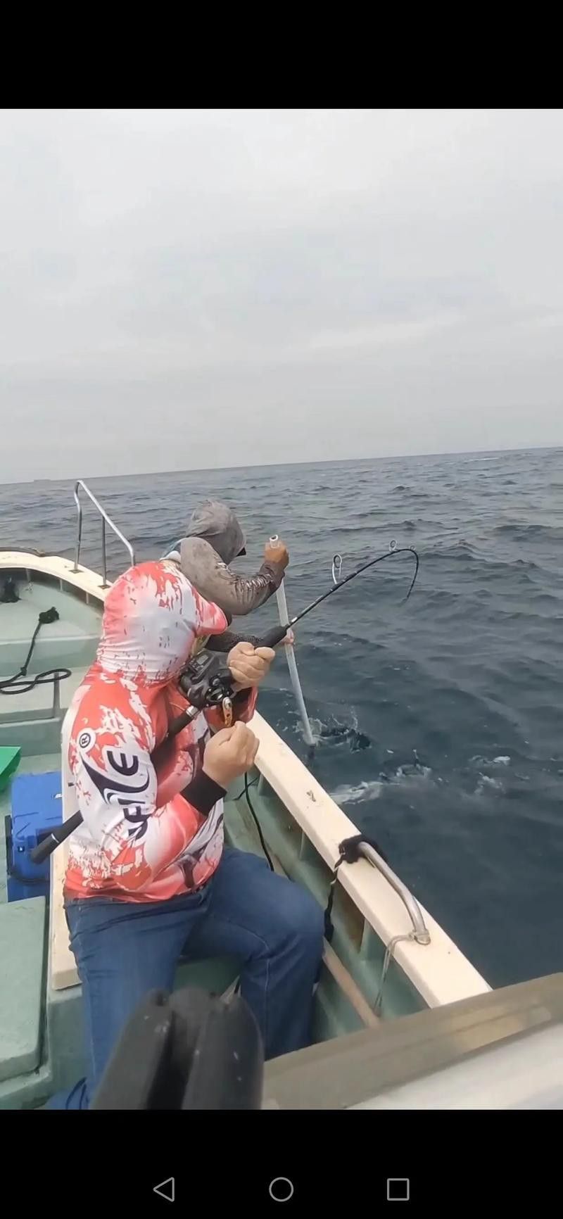 海底飛龍魚圖片大全高清