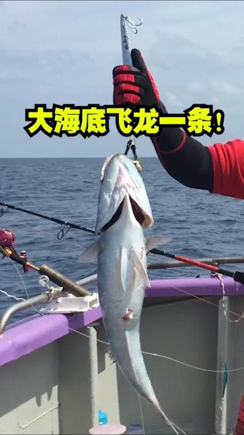 海底飛龍魚圖片大全高清