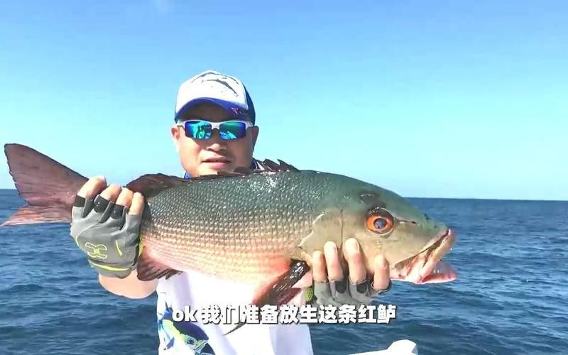 海底飛龍魚圖片大全高清