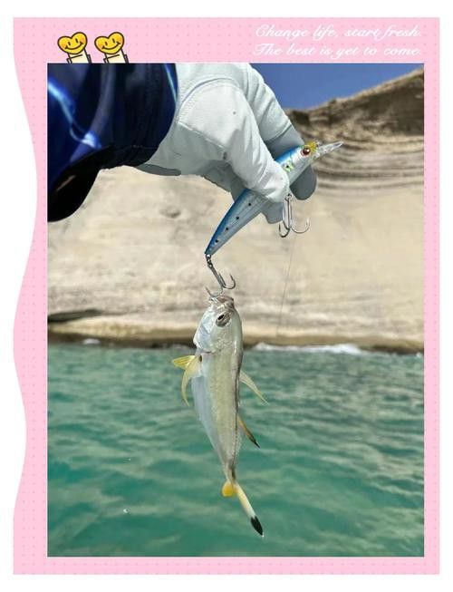 海底飛龍魚圖片大全高清