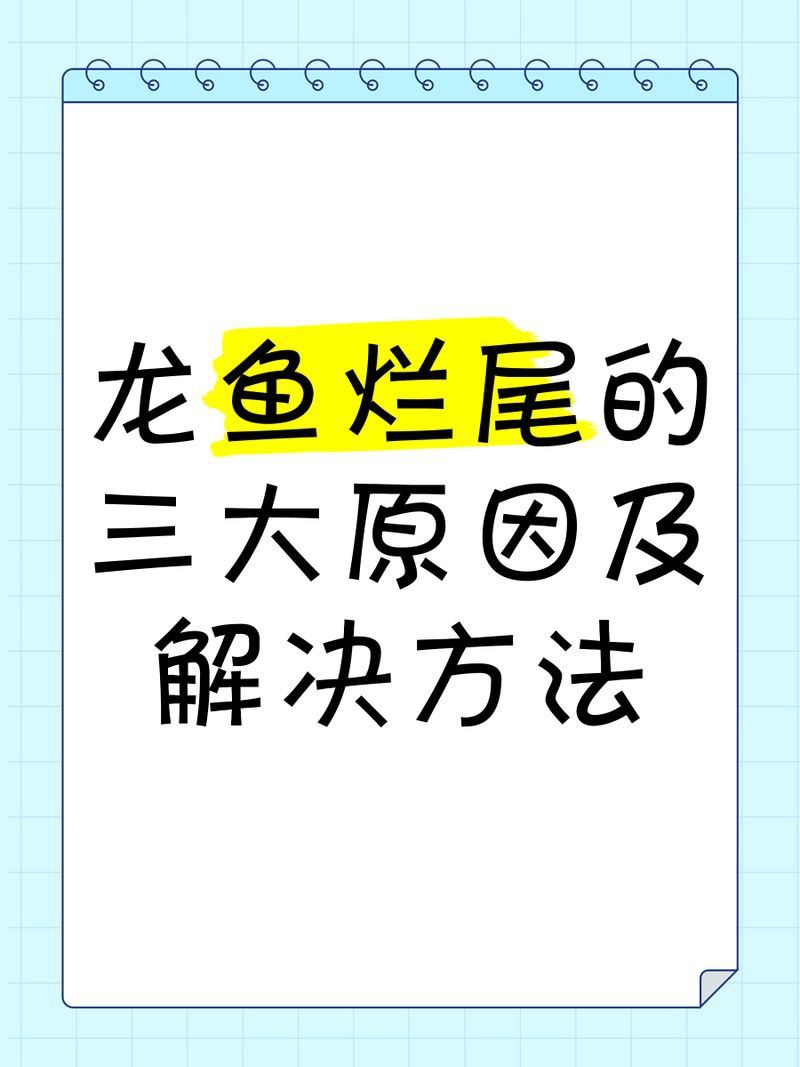 龍魚爛尾最簡單三個步驟
