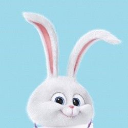 被龍養的日子有實體書嗎？