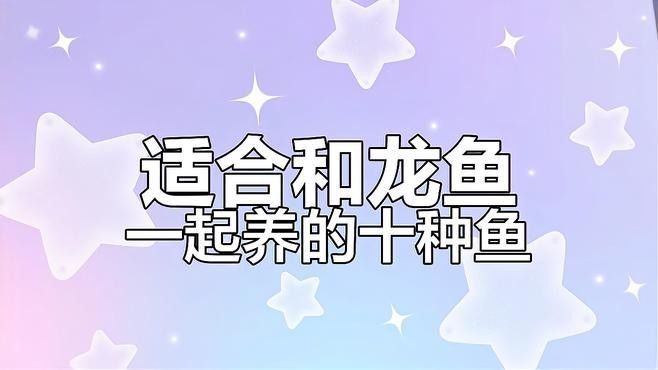 龍魚缸里養什么清潔工最好養