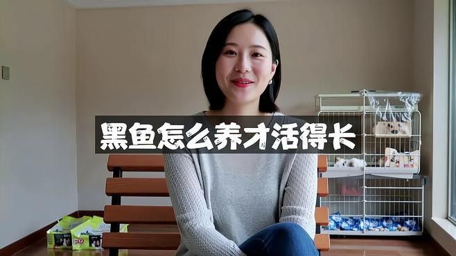 黑龍魚(yú)怎么養(yǎng)殖