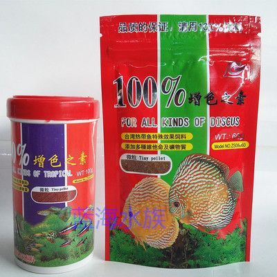 西安賣龍魚的地方：西安魚缸與祥龍魚場，打造水族世界的藝術殿堂