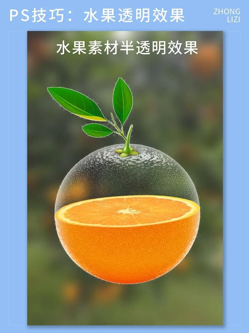 金龍魚魚缸背景圖高清