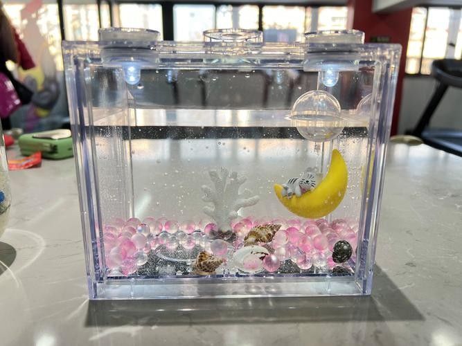 金龍魚魚缸背景圖高清