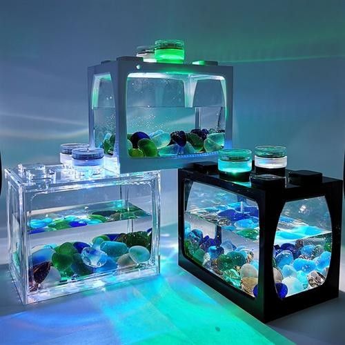 金龍魚魚缸背景圖高清