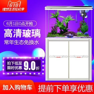 性價比高的龍魚缸（性價比高的龍魚缸品牌有哪些？）