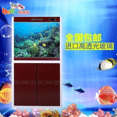 性價比高的龍魚缸（性價比高的龍魚缸品牌有哪些？）
