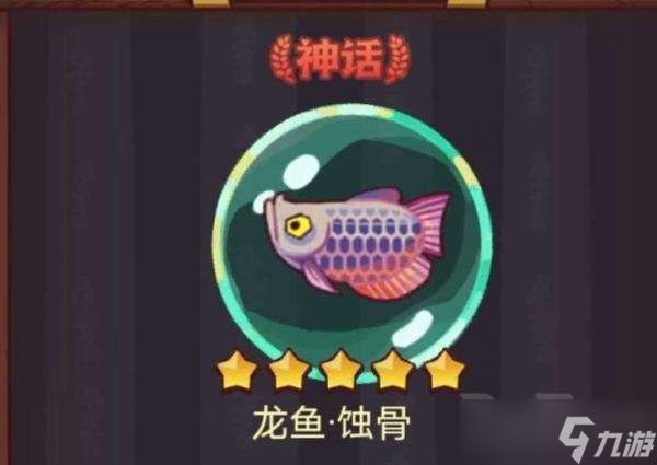 咸魚之王龍魚無雙怎么升級（咸魚之王龍魚無雙怎么升級咸魚之王龍魚無雙升級）