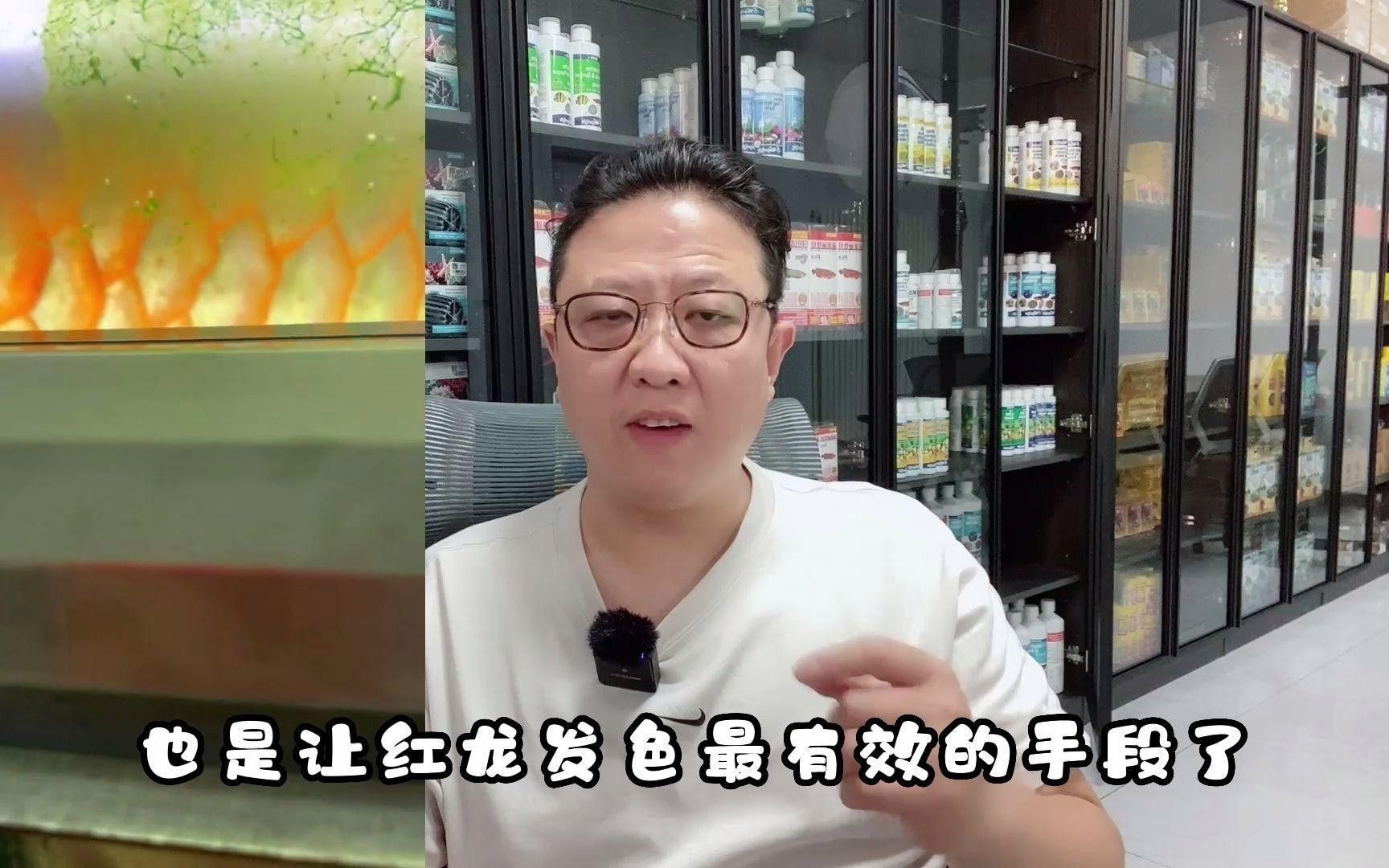紅龍魚鱗片發色如何評估？
