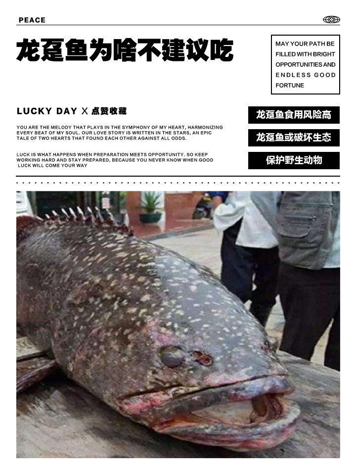 龍躉魚為啥不建議吃