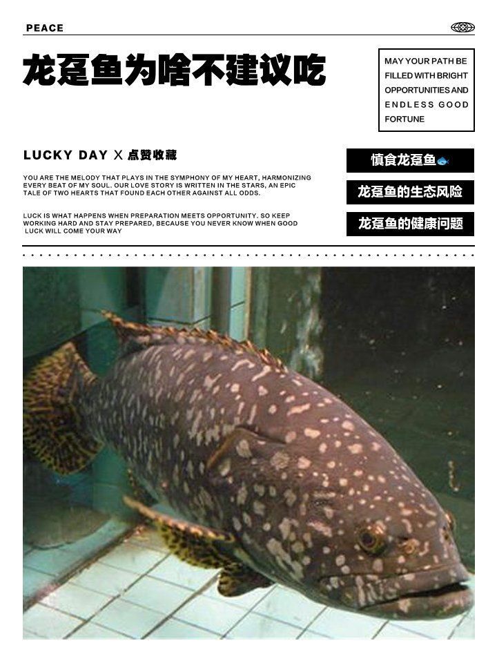 龍躉魚為啥不建議吃