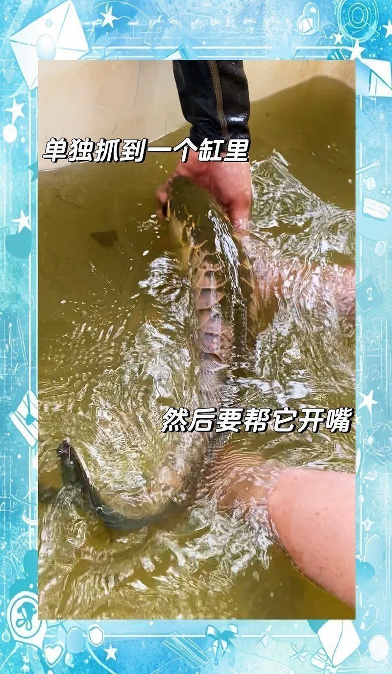 馬來西亞七彩漁場和七彩漁場哪個好玩