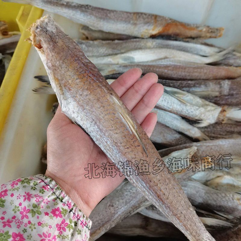 葵龍魚的別名