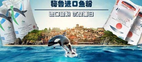 觀賞魚國際貿易合作案例：廣州南沙觀賞魚國際貿易法規解讀
