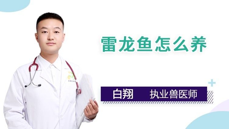 雷龍魚只能單養嗎