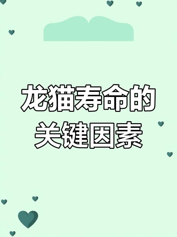 龍貓的壽命一般是多久？