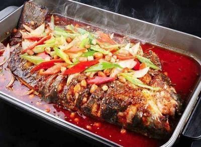 仟魚龍魚燈怎么樣（仟魚龍魚燈對魚色彩的影響如何正確使用龍魚燈）