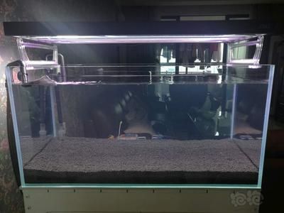 龍魚(yú)缸使用高錳酸鉀的方法（使用高錳酸鉀對(duì)龍魚(yú)缸進(jìn)行消毒時(shí)需要注意控制濃度）