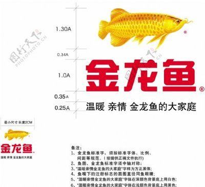 金龍魚 尺寸:金龍魚的尺寸會因具體的產品類型和魚類品種而有所不同 龍魚百科 第2張 金龍魚 尺寸:金龍魚的尺寸會因具體的產品類型和魚類品種而有所不同 金龍魚 尺寸:金龍魚的尺寸會因具體的產品類型和魚類品種而有所不同 龍魚百科 第2張