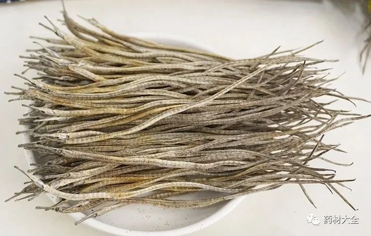 海龍干研末沖服一次多少克合適？