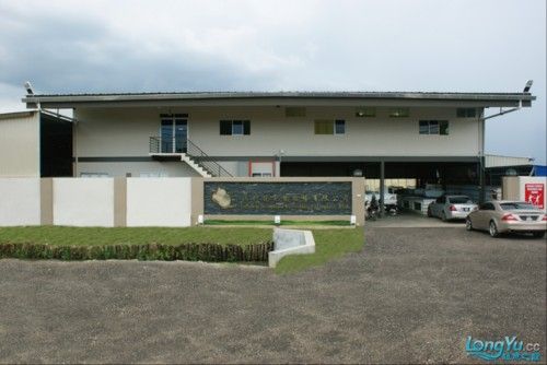 馬來西亞龍魚繁殖場圖片高清