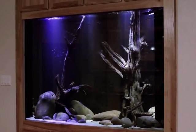鵝卵石怎么布置魚缸圖片（如何清潔魚缸內的鵝卵石）