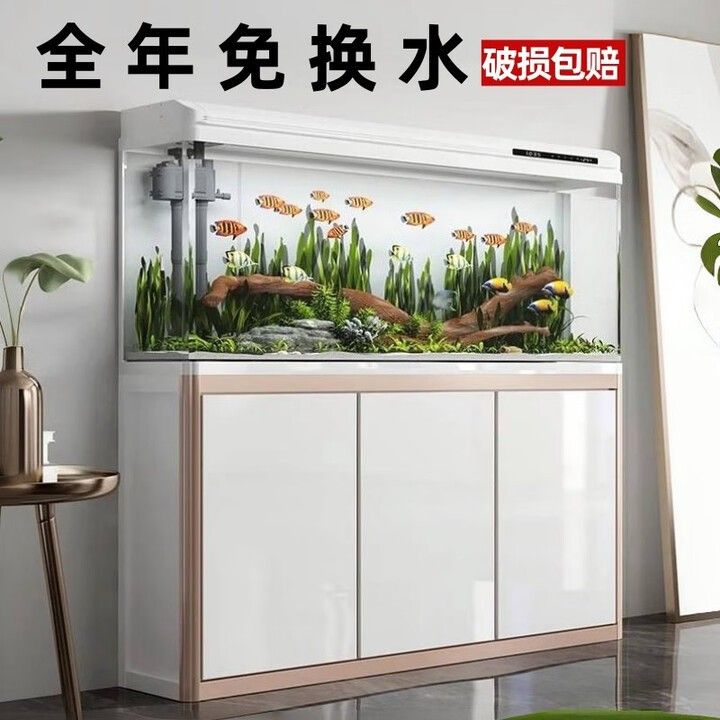 西龍魚缸官網地址