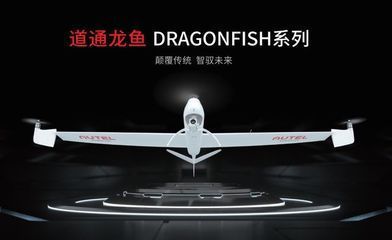 道通龍魚價格：道通龍魚價格信息：關(guān)于道通龍魚價格的信息