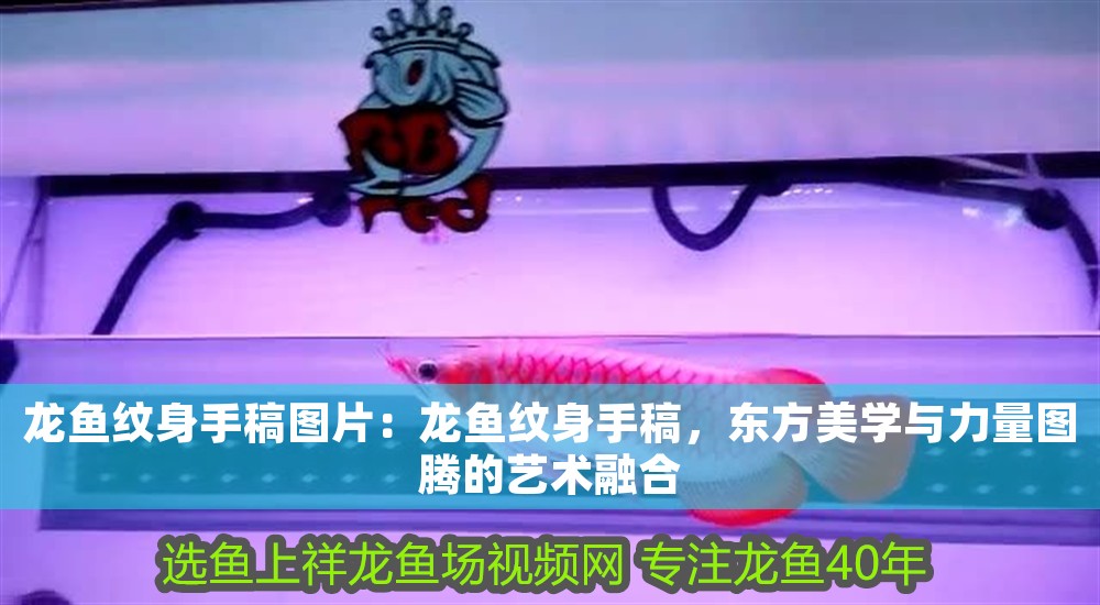 龍魚紋身手稿圖片：龍魚紋身手稿，東方美學與力量圖騰的藝術融合