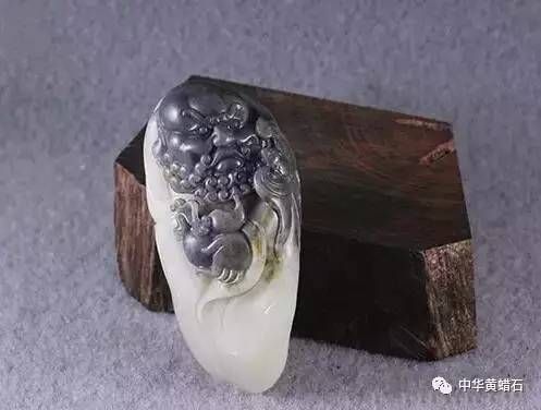 黃金達摩，黃金達摩飼養技巧